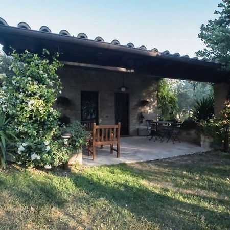 Dimora Borgogni: Country House เปรูจา ภายนอก รูปภาพ